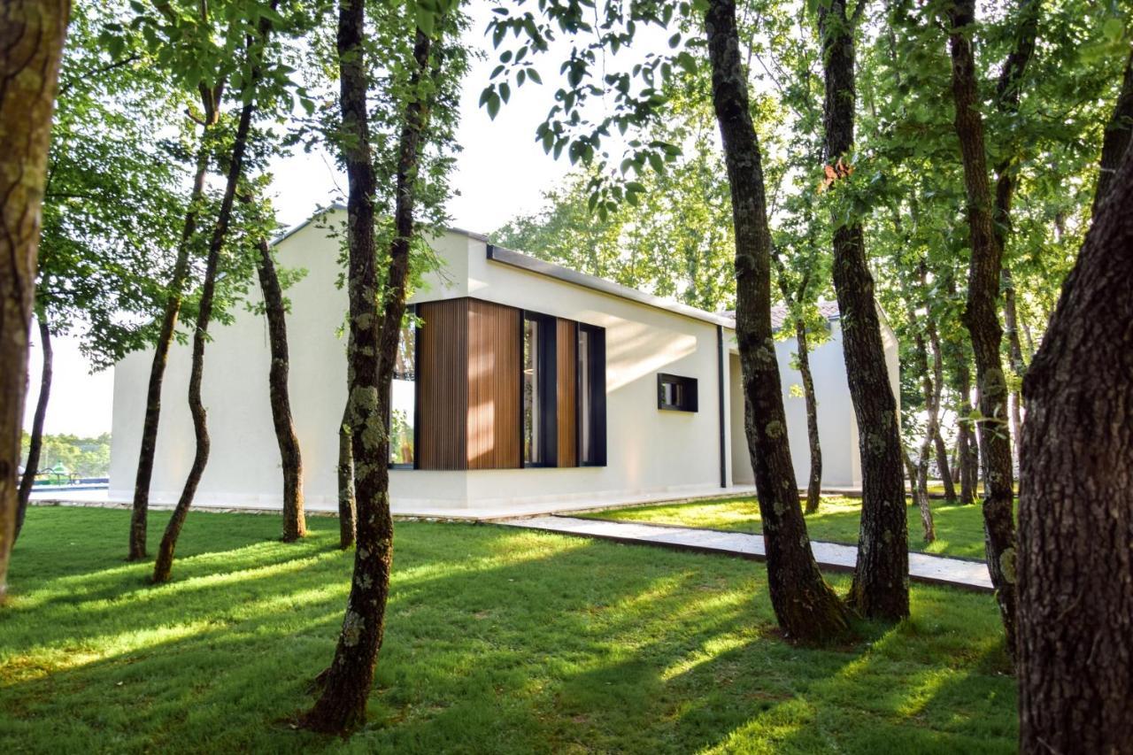 Willa Casa Bosca With Heated Pool Sveti Petar u Sumi Zewnętrze zdjęcie